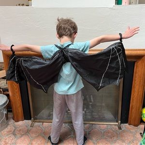 Kids bat wings dress up costume.